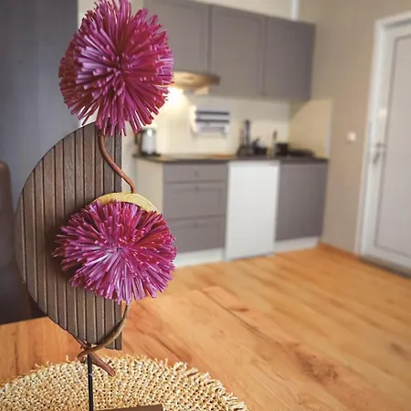 Amir Delux Hotel apartamentowy