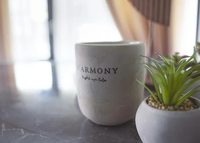 Amir Deluxe 3* 쇼네펠드